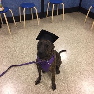 Meet your Posher, Brenda